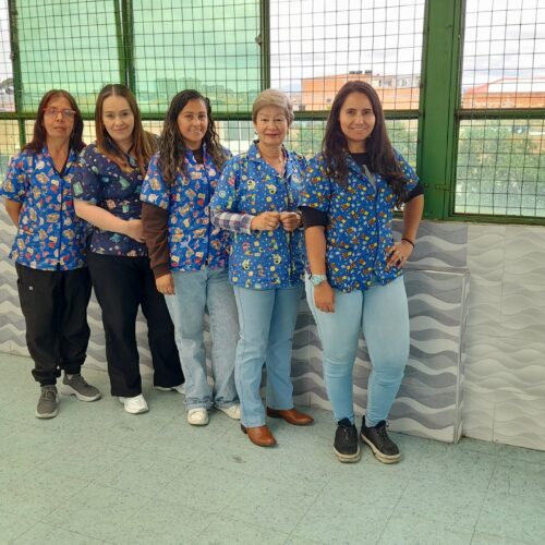 PROFESPRIMARIA12026