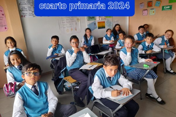aulas 2024 primaria