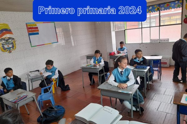 salones primaria 2024